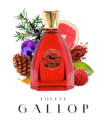 [A00723] EQUEST GALLOP 100ML EAU DE PARFUM SPRAY